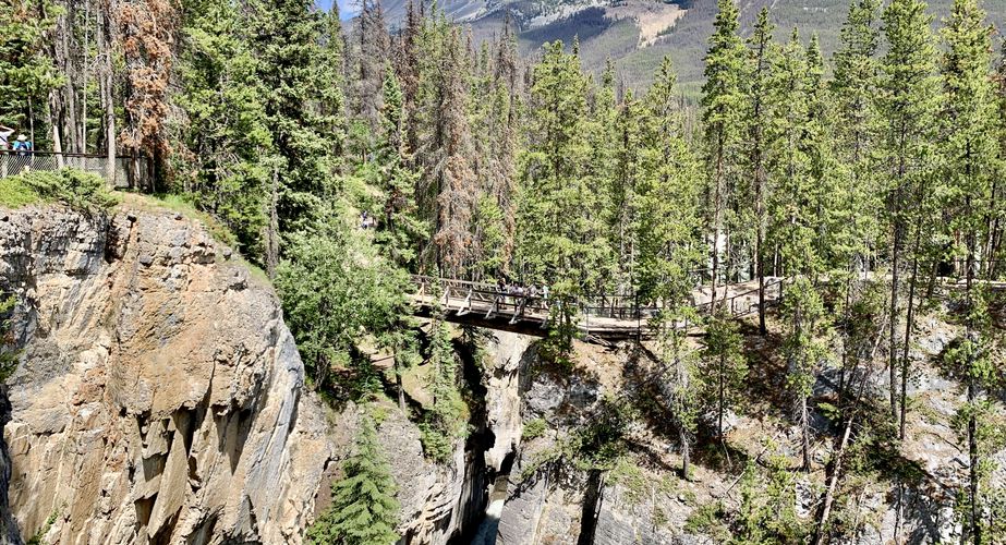 28 38 Canada 126 28 38 Canada 126